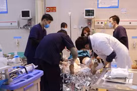 Chó pitbull tấn công 2 người nhập viện trong 2 ngày liên tiếp