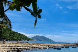 Một công ty BĐS Đà Nẵng phát hành thành công 576 tỷ trái phiếu