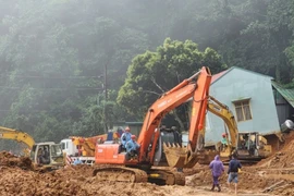 Sạt lở đèo Bảo Lộc: Địa phương nói gì về vườn sầu riêng giữa rừng?