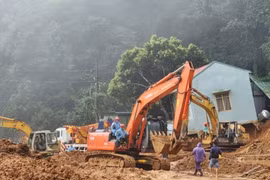 Sạt lở đèo Bảo Lộc: Địa phương nói gì về vườn sầu riêng giữa rừng?