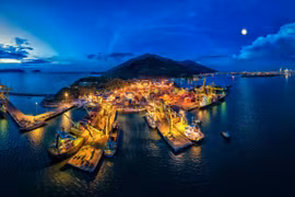 Vì sao gói thầu hơn 435 tỷ đồng của Cảng Đà Nẵng không đấu thầu qua mạng?