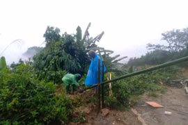 Nam Trà My sẵn sàng di dời 5.832 người để tránh sạt lở