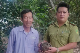 Bàn giao 3 cá thể động vật hoang dã quý hiếm cho Kiểm lâm