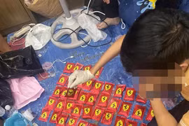 Phá "ổ" mua bán ma túy lạ trong một căn hộ ở Đà Nẵng