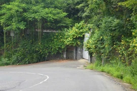 Đà Nẵng lập Tổ công tác gỡ vướng cho các dự án, đất đai