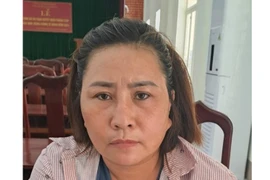 Đà Nẵng: Bắt thêm nữ đồng phạm của phó phòng công an giả mạo