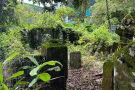 Lý do Quảng Nam bác đề nghị khai quật mộ cổ có minh bia năm 1850