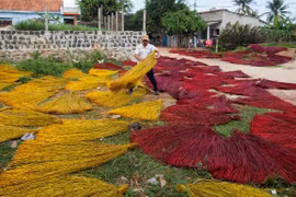 Lý do thu hồi bằng công nhận làng nghề dệt chiếu hơn 500 tuổi