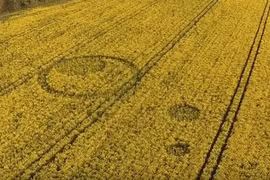 Vòng tròn lạ trên cánh đồng ở Anh dấy lên bí ẩn UFO