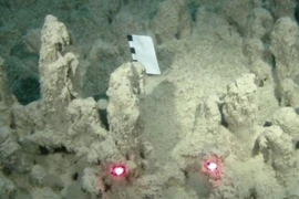 Bí ẩn sự sống nguyên thủy trong đá hồ Joyce