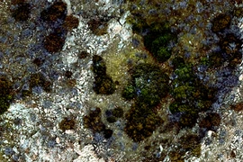 Khủng khiếp vụ va chạm bí ẩn khiến 30 miệng núi lửa "chào đời" 