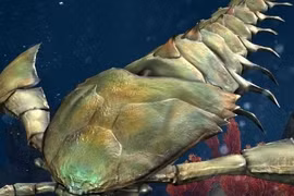 Phát hiện hóa thạch bọ cạp biển, chuyên gia thốt lên: "Là quái vật!" 