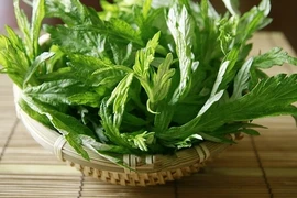 Những loài cây trồng trong nhà để xua tà khí