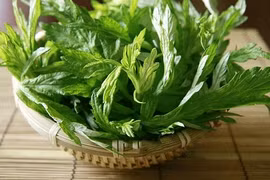 Những loài cây trồng trong nhà để xua tà khí