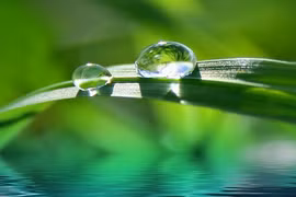 Sự thật đáng kinh ngạc về nước ít ai ngờ đến