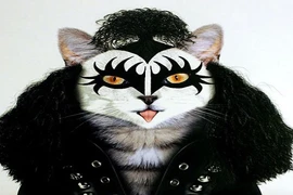 Mèo khác lạ trong hình hài danh nhân nổi tiếng 