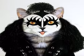 Mèo khác lạ trong hình hài danh nhân nổi tiếng 