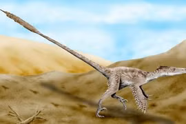Sự thật tàn khốc về khủng long Velociraptor 