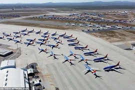 Covid-19: Hàng nghìn máy bay xếp hàng "đắp chiếu", sân bay như nhà hoang