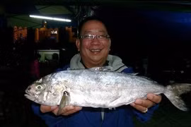 Khám phá về loài cá có cái tên nhạy cảm, cá cu