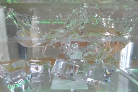 Tận thấy khả năng chụp đóng băng khoảnh khắc của Bphone B86