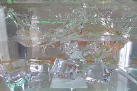 Tận thấy khả năng chụp đóng băng khoảnh khắc của Bphone B86