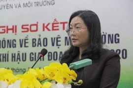 Phó giám đốc Sở TNMT TP.HCM bị kỷ luật sau văn bản 'hỏa táng'