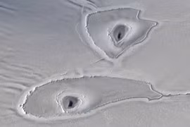 Những lỗ hổng bí ẩn ở băng Nam Cực đến NASA cũng "bó tay"