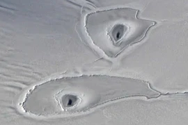Những lỗ hổng bí ẩn ở băng Nam Cực đến NASA cũng "bó tay"