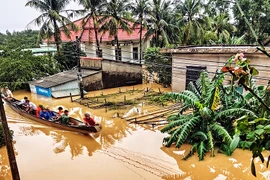 Tại sao phá rừng lại dễ gây ra lũ lụt, sạt lở?