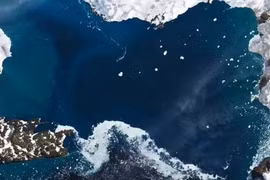 Thềm băng khổng lồ ở Nam Cực sụp đổ, thảm họa có xảy ra? 