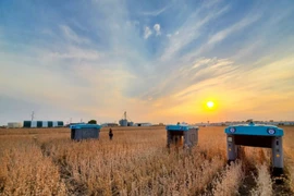 Thế giới xuất hiện robot AI làm việc như một nông dân thực thụ