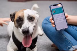 Chứng minh thư điện tử dành cho thú cưng đầu tiên tại Việt Nam