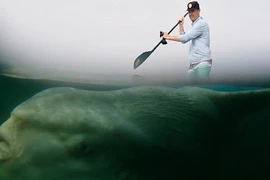 Đang chèo xuồng, đứng tim trông thấy "sinh vật ngoài hành tinh" cực khủng 