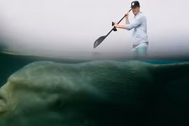 Đang chèo xuồng, đứng tim trông thấy "sinh vật ngoài hành tinh" cực khủng 