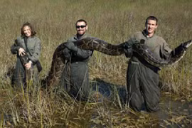 Những cuộc phá hoại kinh khiếp của động vật 