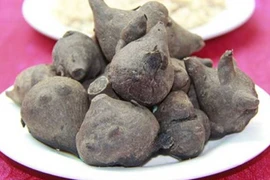 'Sốc' củ hoang ở Việt Nam thuộc 'tứ đại danh dược'
