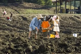 Công viên duy nhất trên thế giới cho phép du khách đào và nhặt kim cương