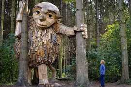 "Sững sờ" trước người gỗ khổng lồ trong rừng ở Copenhagen Đan Mạch