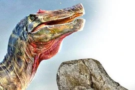 Chi tiết động vật ăn thịt lớn nhất châu Âu: Khủng long mặt cá sấu 
