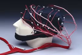 Con người có còn ý thức sau khi bị chặt đầu? 