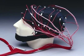 Con người có còn ý thức sau khi bị chặt đầu? 