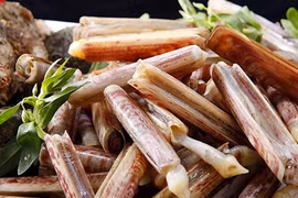 Khám phá thú vị về ốc móng tay đặc sản Quảng Ninh