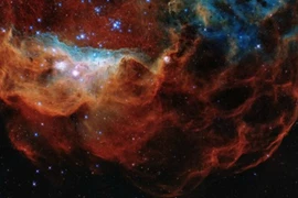 Ngắm rạn san hô vũ trụ siêu tuyệt đẹp