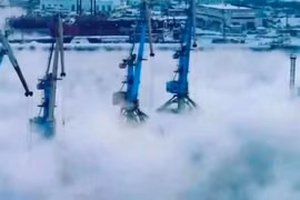 Bộ ảnh tuyệt đẹp khiến người xem bị hớp hồn 