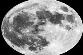 Tiết lộ chấn động về sự sống nghi từng có trên Mặt trăng