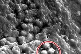 NASA công bố kính hiển vi chuyên dụng cho lĩnh vực không gian 