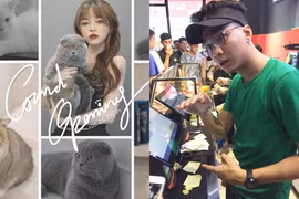 Streamer Việt kiếm "bộn" tiền từ chăm mèo, bán bánh mì