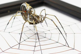 Nghệ sĩ đặc biệt thích chế tạo nhện khồng lồ từ... đồng nát