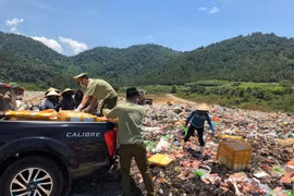Bắt giữ nửa tấn nội tạng gia cầm bốc mùi hôi thối trên đường lên... bàn nhậu